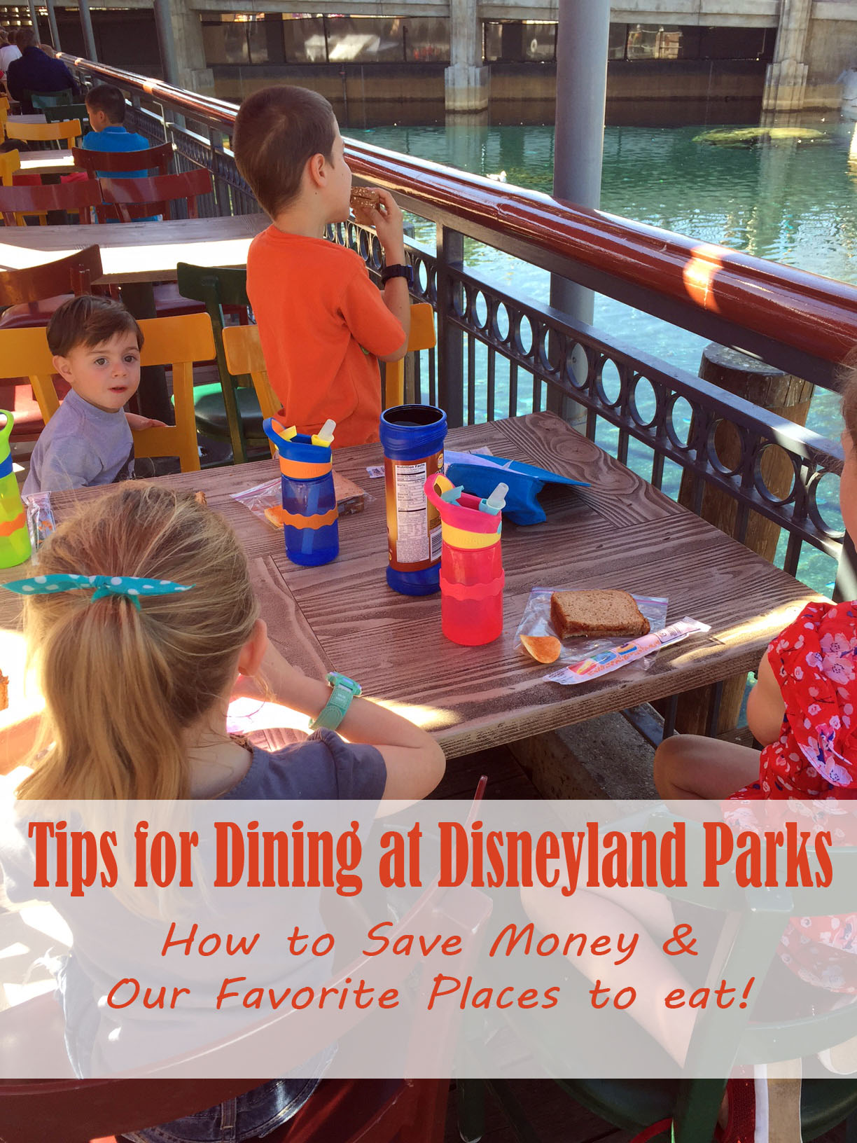 Disneyland Dining Tips